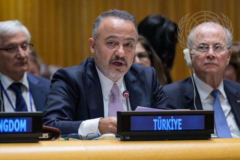 International Conference for Peaceful Settlement of Question of Palestine and Implementation of Two-State Solution