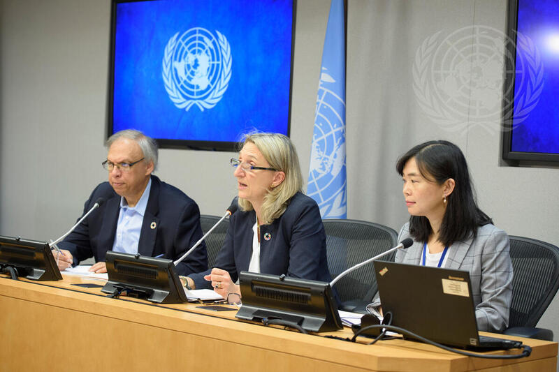 Press Briefing on Launch of 2018 Sustainable Development Goals Report