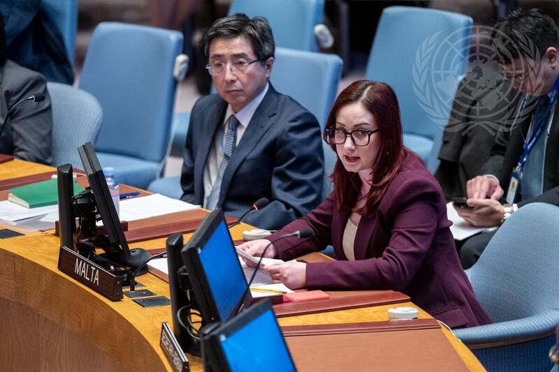 Security Council Meets on Women and Peace and Security
