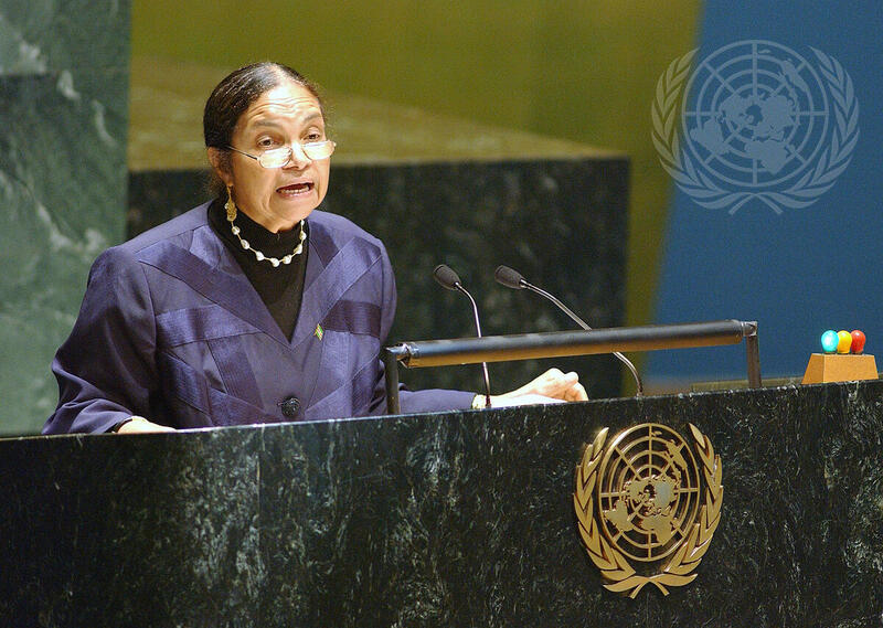 Permanent Representative of Suriname Addresses 57th Session of General Assembly