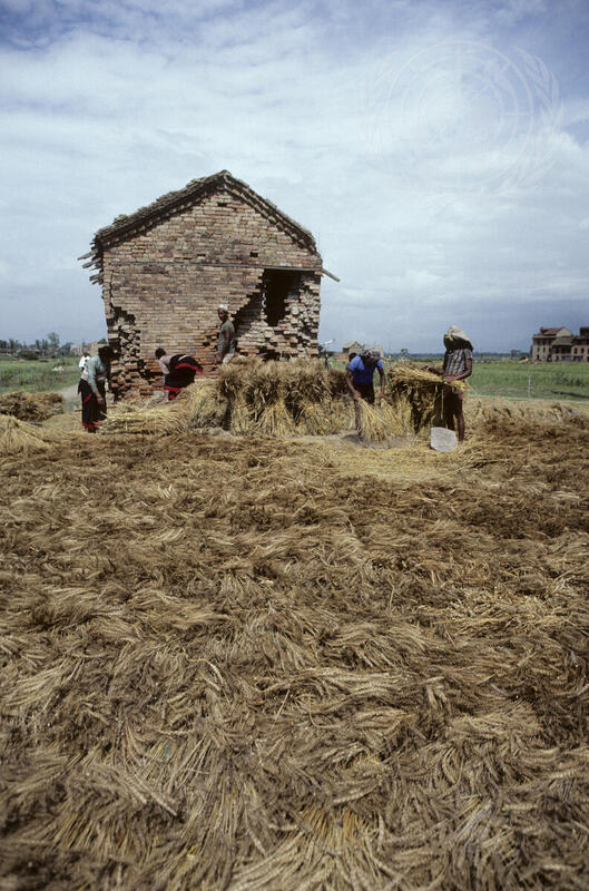 Farming for Development