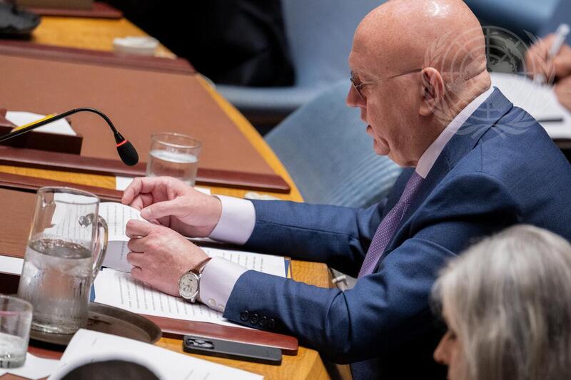 Security Council Meets on Situation in Bosnia and Herzegovina