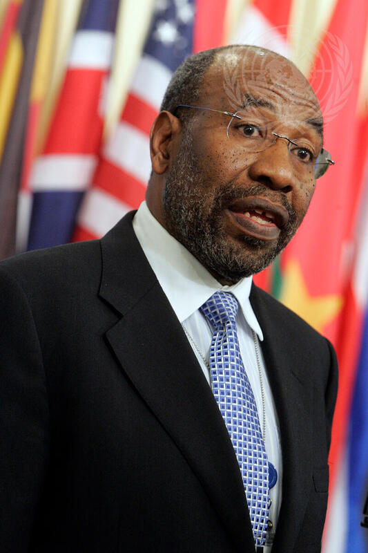 Security Council President Briefs Media