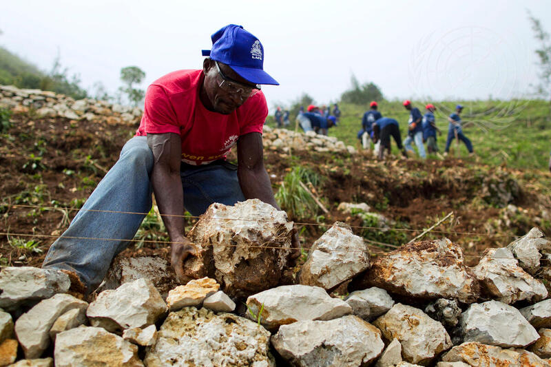 Haitians Plant and Save Land in Cash-for-Work Programme