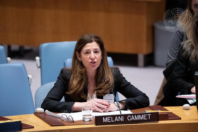 Security Council Meets on Transnational Organized Crime