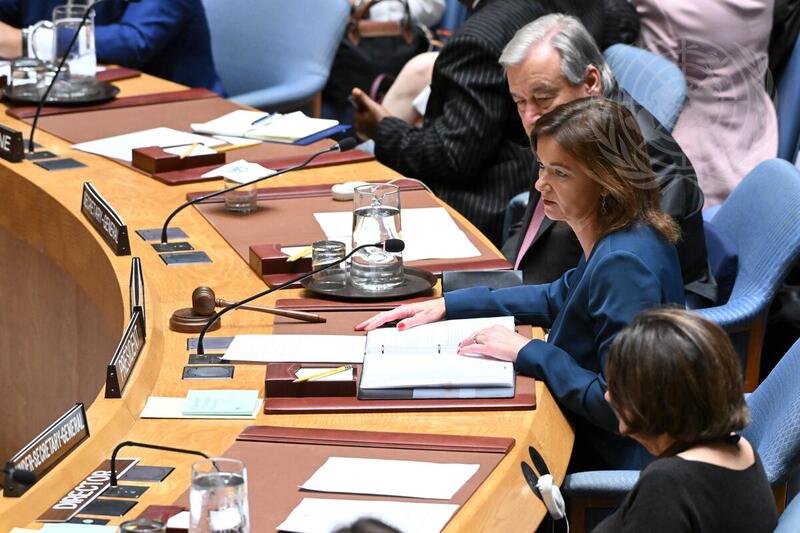 Security Council Meets on Situation in Middle East