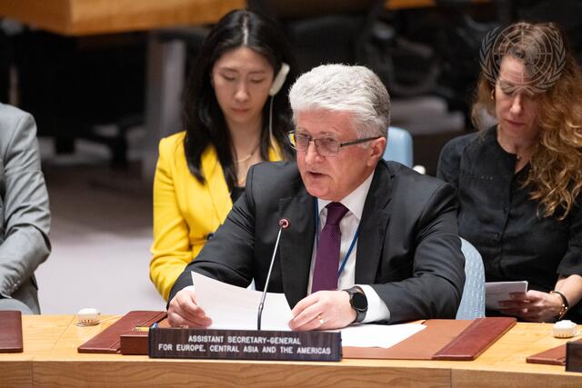 Security Council Meets on Maintenance of International Peace and Security