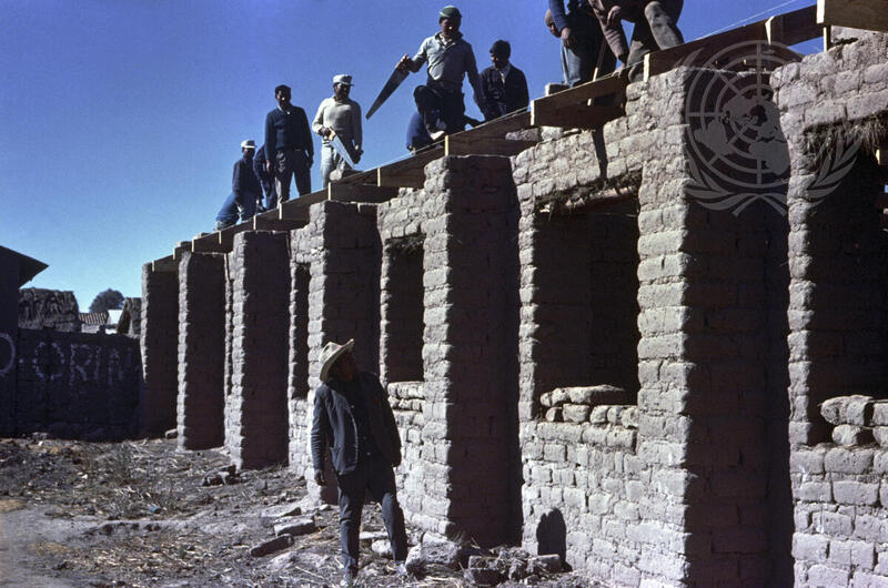The Andean Indian Programme in Peru