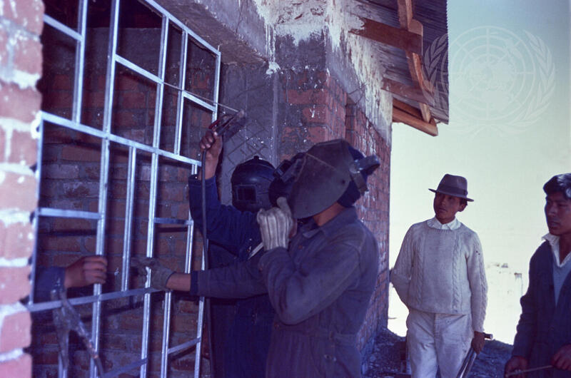 The Andean Indian Programme in Peru