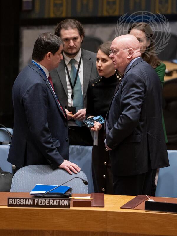 Security Council Meets on Situation in Middle East, Including Palestinian Question