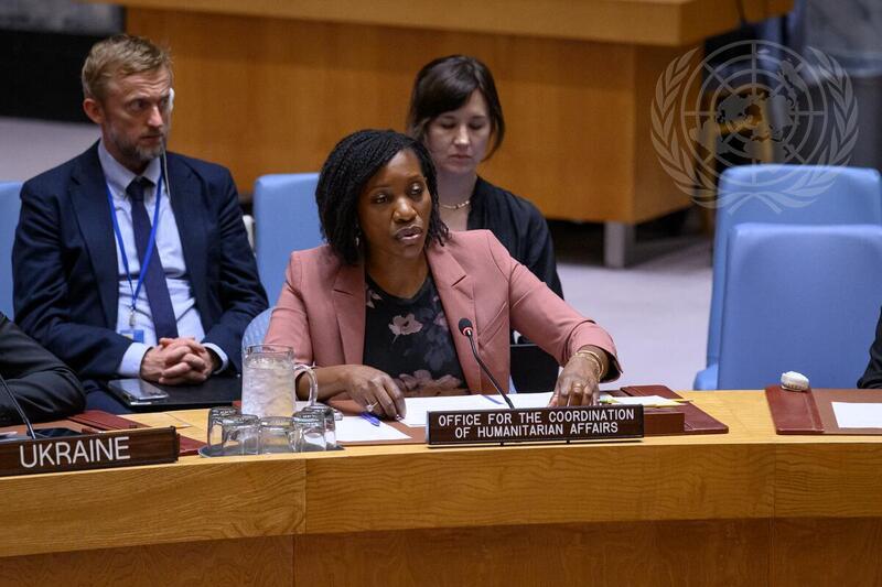 Security Council Meets on Maintenance of Peace and Security of Ukraine
