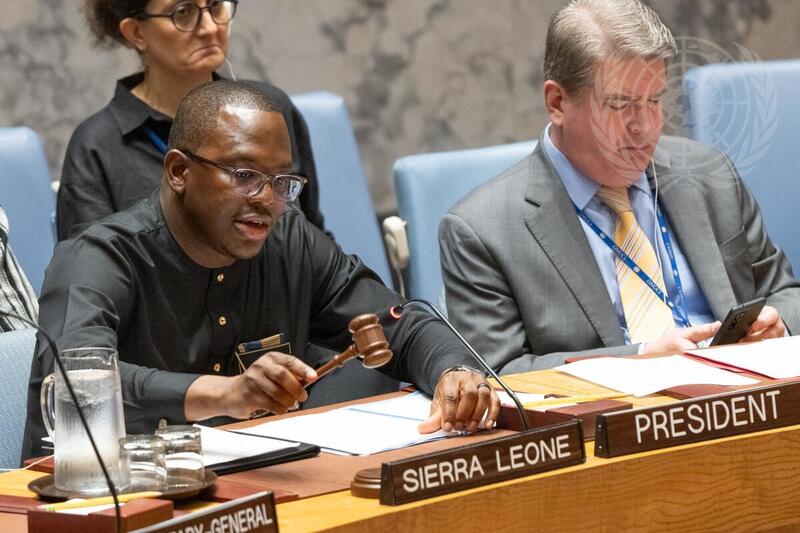 Security Council Meets on Threats to International Peace and Security