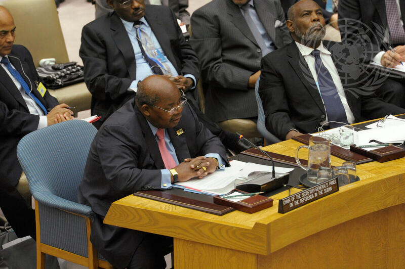 Head of Sudan Referenda Panel Addresses Council