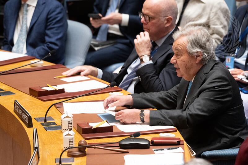 Security Council Meets on Maintenance of International Peace and Security