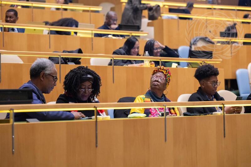 Permanent Forum on People of African Descent Fourth Session