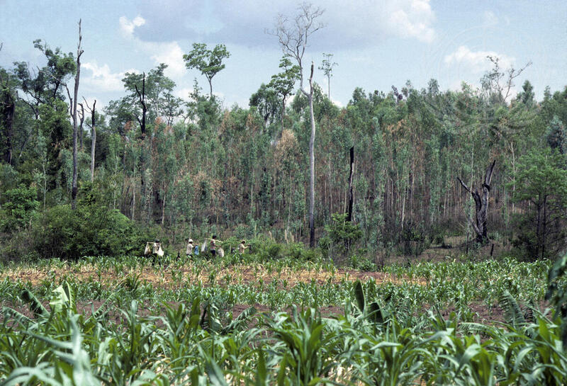 UNDP Projects in Thailand