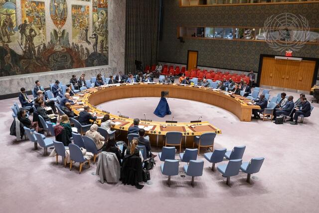 Security Council Meets on Central African Region