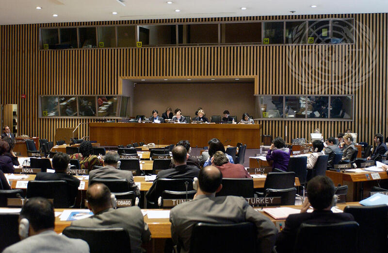 Opening of 25th Session of Committee on Information