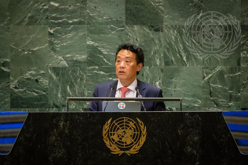 Director-General of FAO Addresses Summit of the Future