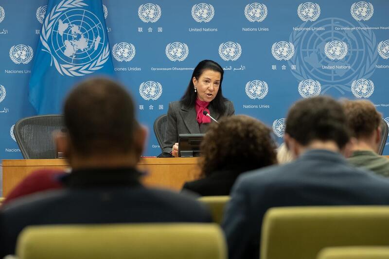 Executive Director of Counter-Terrorism Committee Executive Directorate Briefs Press