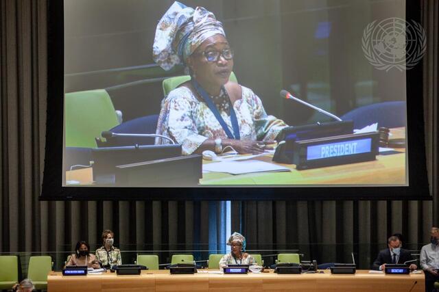UN Women Executive Board Second Regular Session 2021