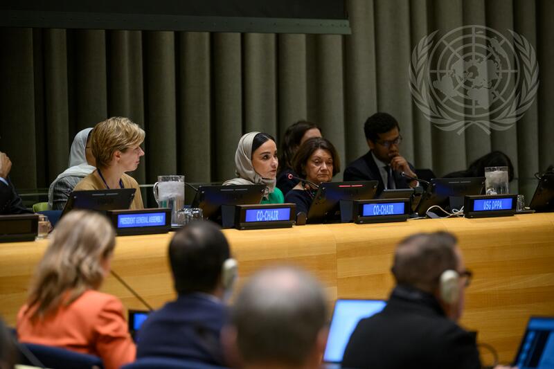 General Assembly Holds Preparatory Meeting before International Conference for Peaceful Settlement of Question of Palestine and Implementation of Two-State Solution
