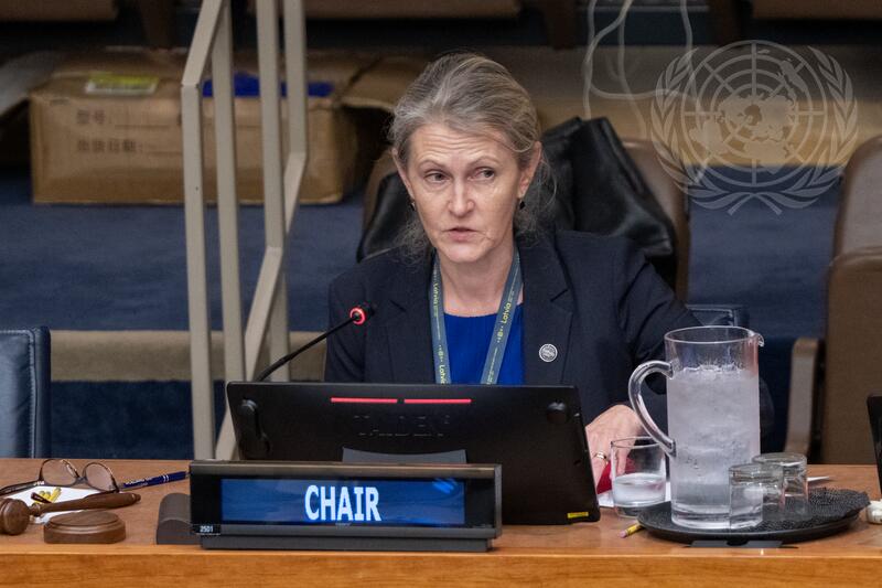 Special Political and Decolonization Committee Meets to Review Question of Peacekeeping Operations