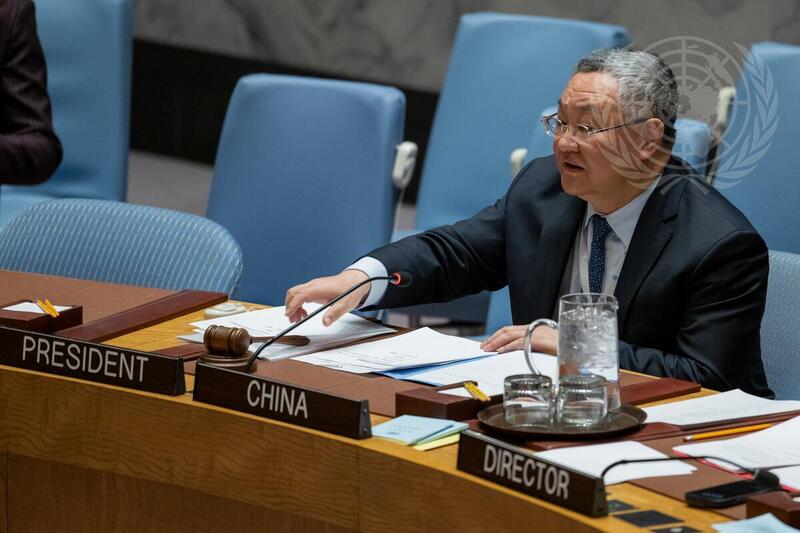 Security Council Hears Reports on Sudan and South Sudan