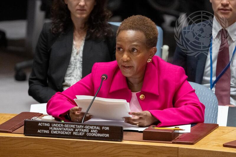 Security Council Meets on Maintenance of International Peace and Security