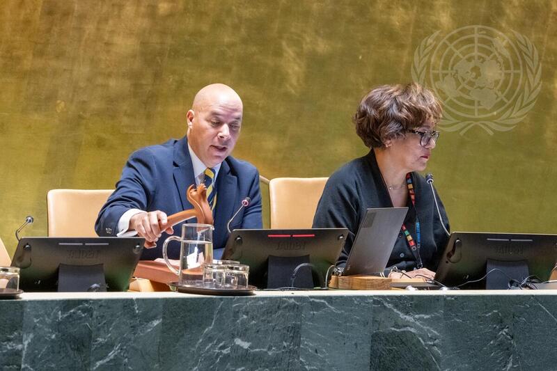 General Assembly Holds Elections of Members to Various Committees and Commissions