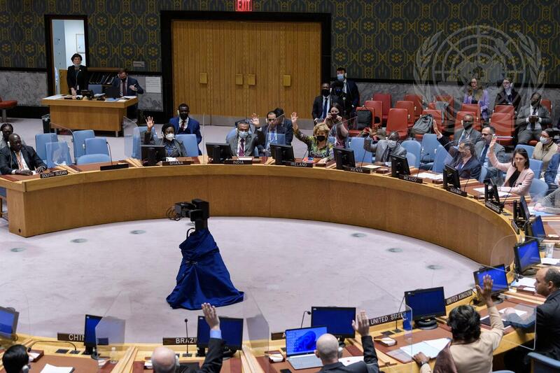 Security Council Extends Mandate of United Nations Mission in South Sudan