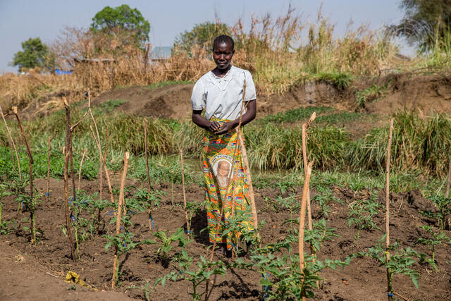 Farming on the Outskirts of Juba