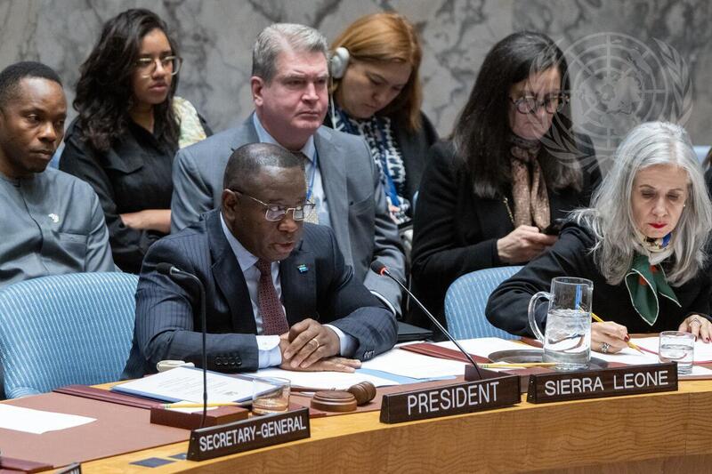 Security Council Meets on Peace Consolidation in West Africa