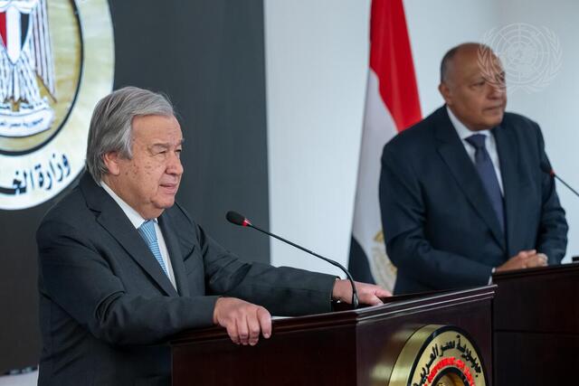 Secretary-General and Minister for Foreign Affairs of Egypt Brief Press