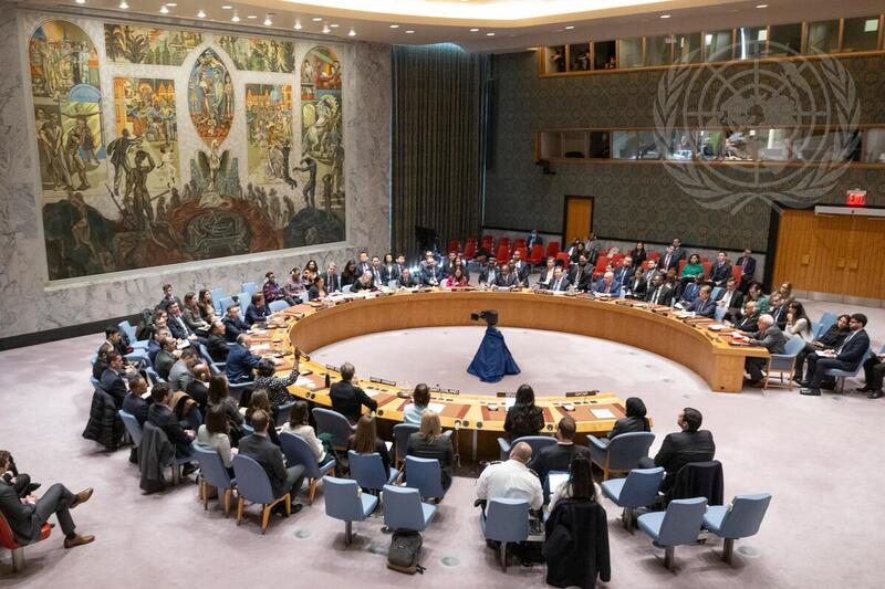 Security Council Fails to Adopt Resolution on Humanitarian Ceasefire in Gaza