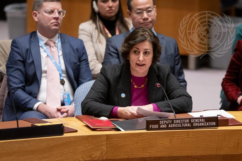 Security Council Meets on Climate Change and Food Insecurity