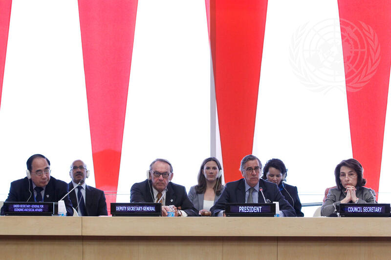 ECOSOC Discusses Integrating Dimensions of Sustainable Development