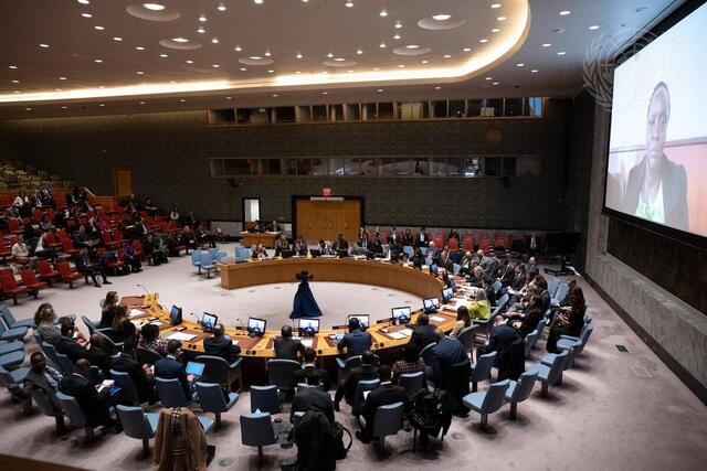 Security Council Meets on Transnational Organized Crime