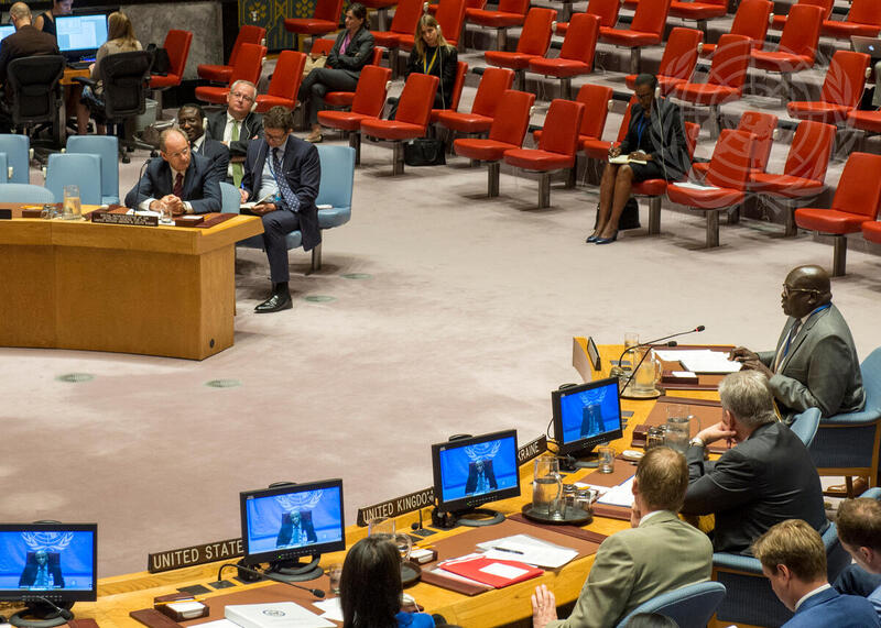 Security Council Considers Situation in South Sudan