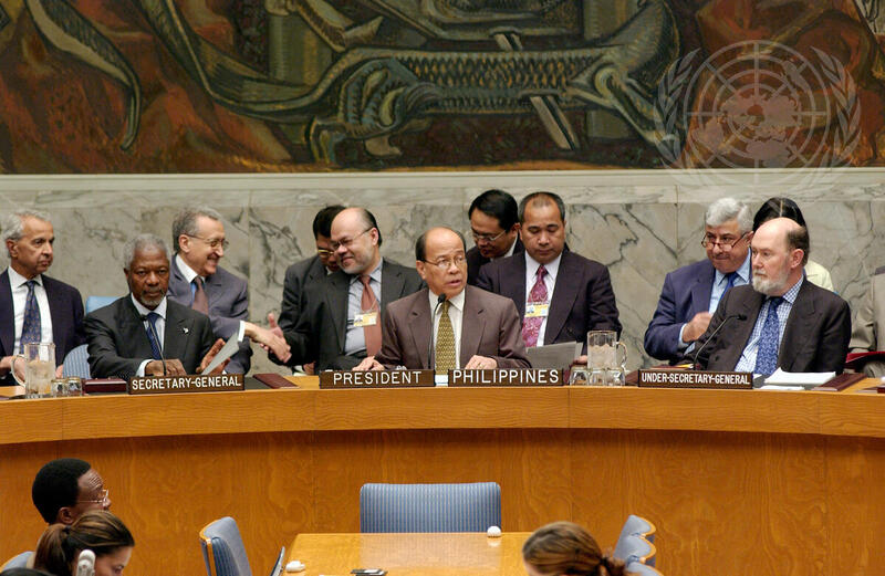 Security Council Votes Unanimously to Adopt Resolution on Iraq | UN Photo