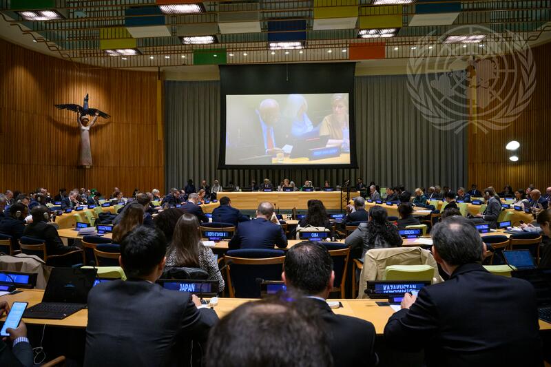General Assembly Holds Preparatory Meeting before International Conference for Peaceful Settlement of Question of Palestine and Implementation of Two-State Solution