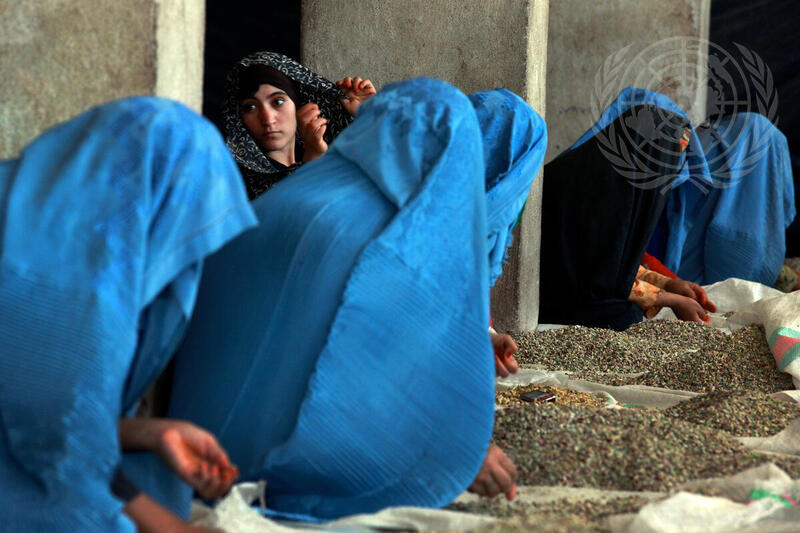 Afghan Women at Work in Pistachio Factory