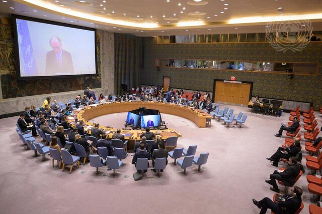 Security Council Meets on Situation in Syria