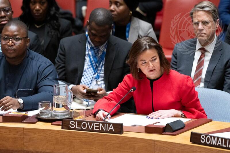 Security Council Meets on Situation in Middle East, Including Palestinian Question