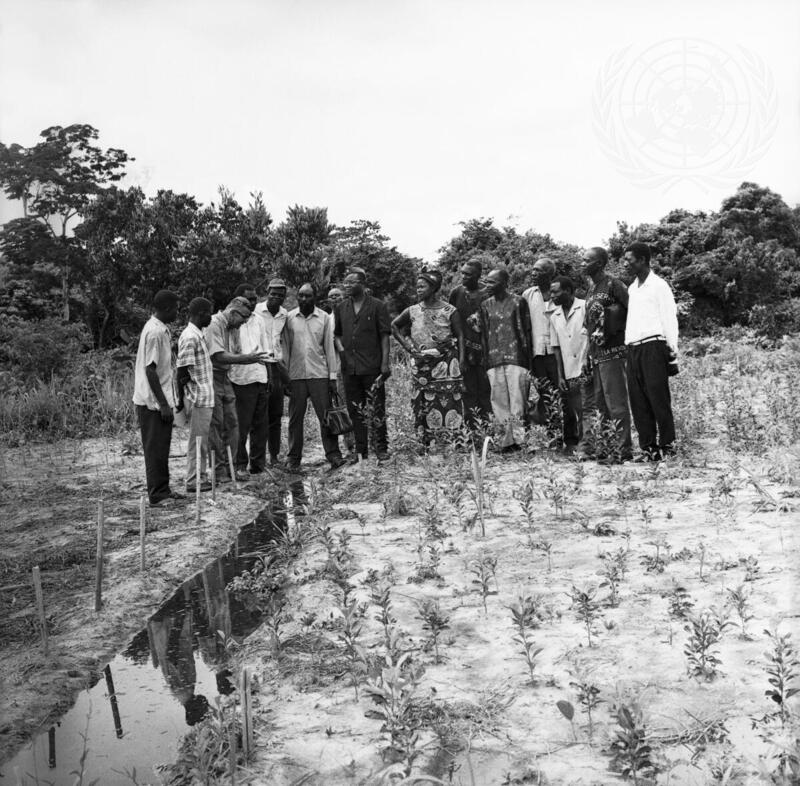 Agricultural Production Project in Democratic Republic of Congo
