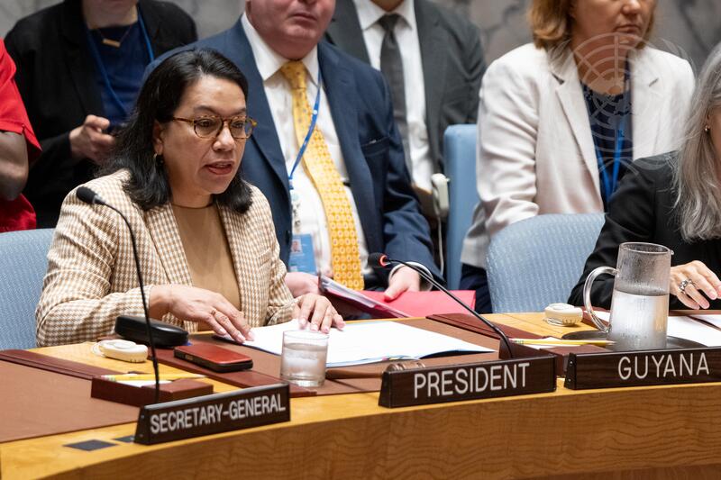 Security Council Meets on Situation Concerning Iraq