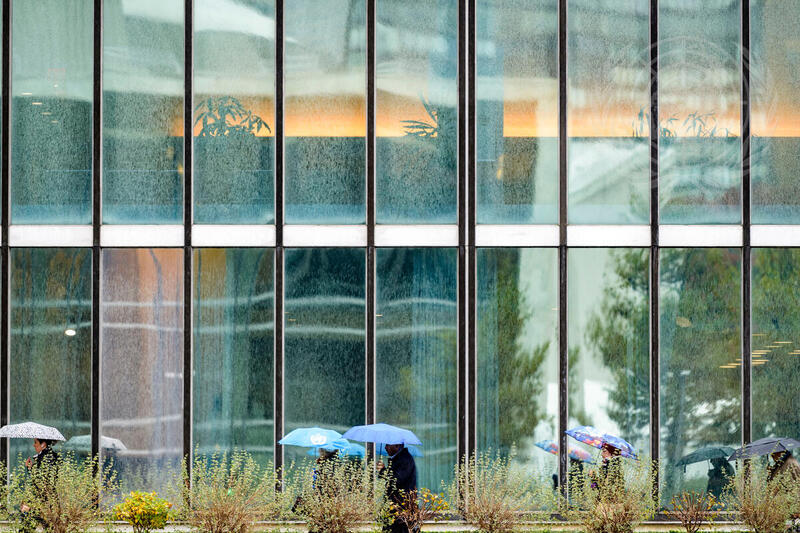 Scene from UN Headquarters in New York