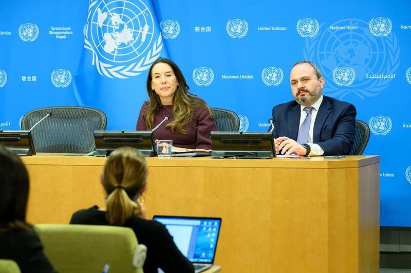 President of Security Council Briefs Press on Programme of Work