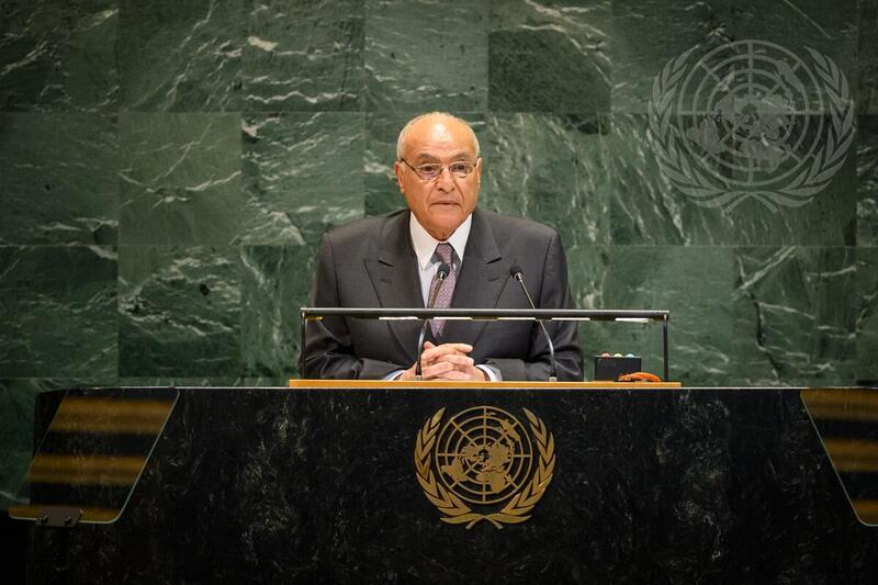 High-Level International Conference for the Peaceful Settlement of the Question of Palestine and Implementation of Two-State Solution