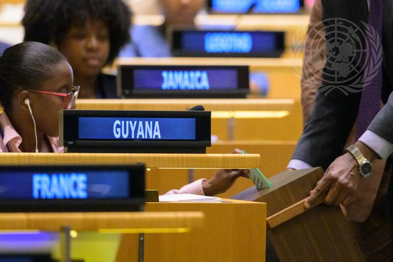 General Assembly Holds Election of Members of Economic and Social Council